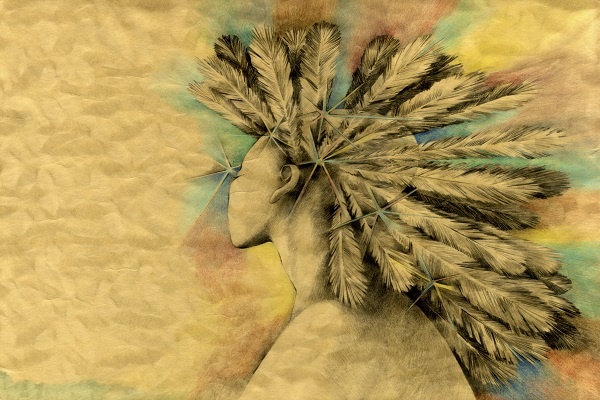 Art Native American Feathered Head Dress 7 Art Native American Feathered Head Dress 7