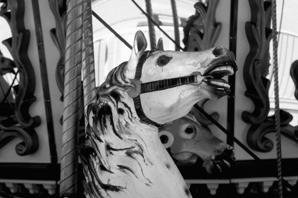 Carousel Horse Black And Wite 9 Carousel Horse Black And Wite 9