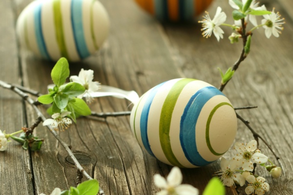 Easter Egg With Cherry Blossom Easter Egg With Cherry Blossom