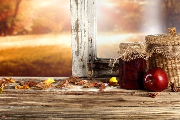 Fall Home 151559441 Fall Home 151559441