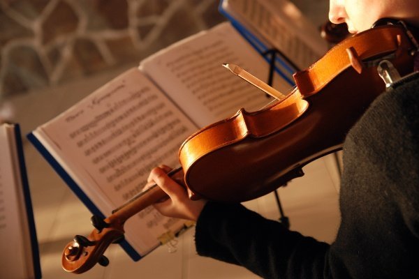 Music Violinist Playing While Reading Sheet Music 1 Music Violinist Playing While Reading Sheet Music 1