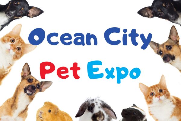 Ocean City Pet Expo Explore Ocean City Pet Expo Explore