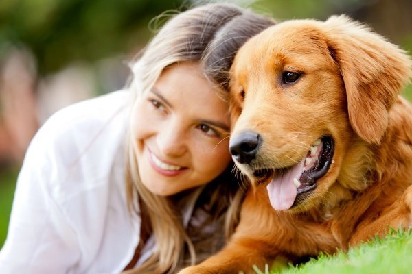 Dog Girl Dog 94853674 Dog Girl Dog 94853674