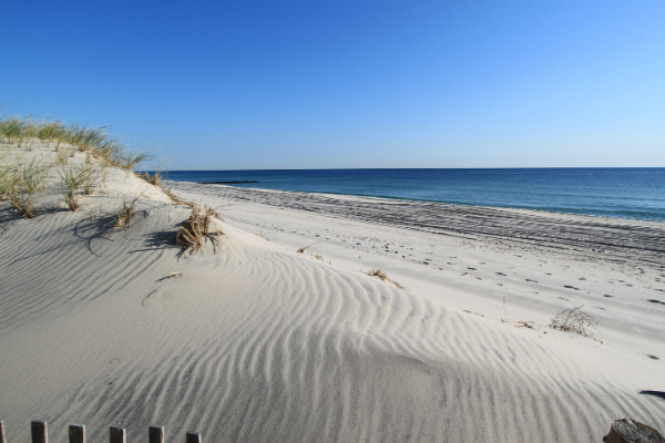 Beach Dunes Beach Dunes