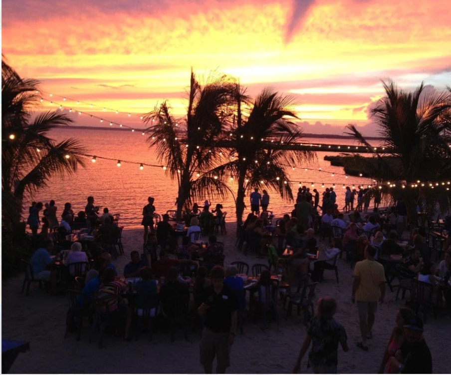 Live Music Under The Palms Mackys Bayside Bar Grille